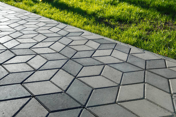 Best Local Driveway Pavers  in Loris, SC