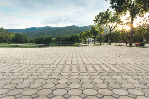 Best Residential Driveway Paver Services  in Loris, SC